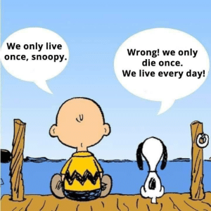 Charlie Brown We Only Live Once