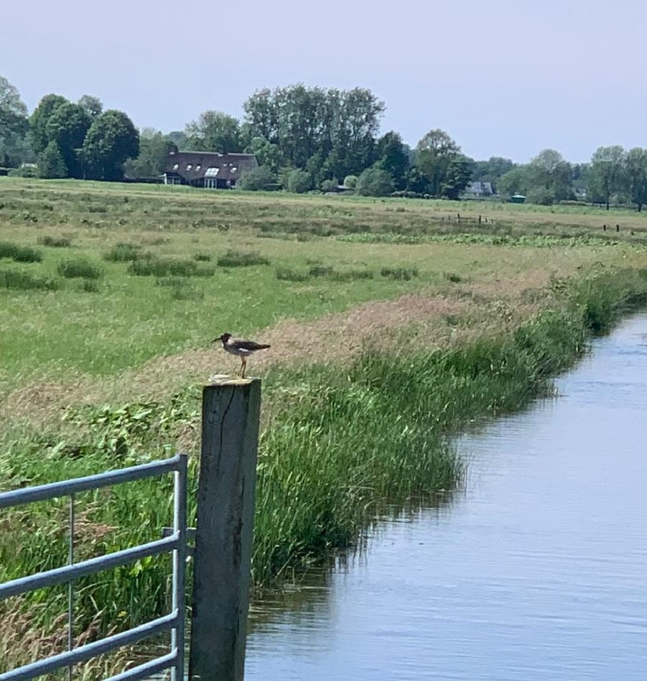 Grutto Eemland